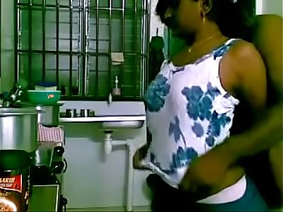 Observe maid banged by boss in the kitchen